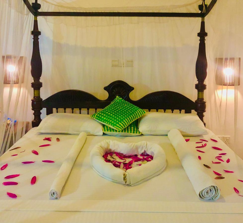 Saman Resort Yala تيساماهاراما المظهر الخارجي الصورة