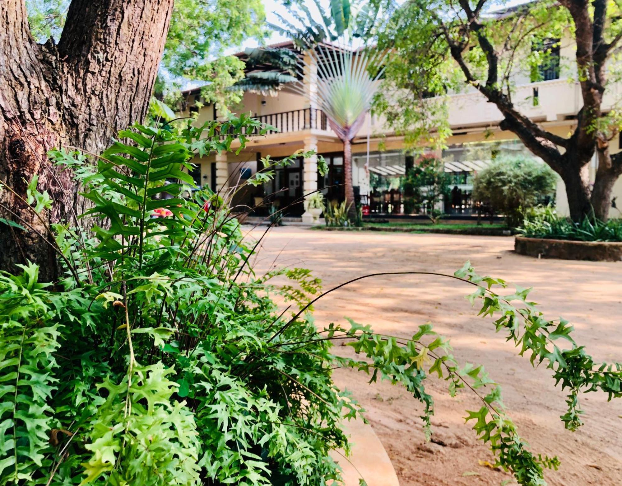 Saman Resort Yala تيساماهاراما المظهر الخارجي الصورة