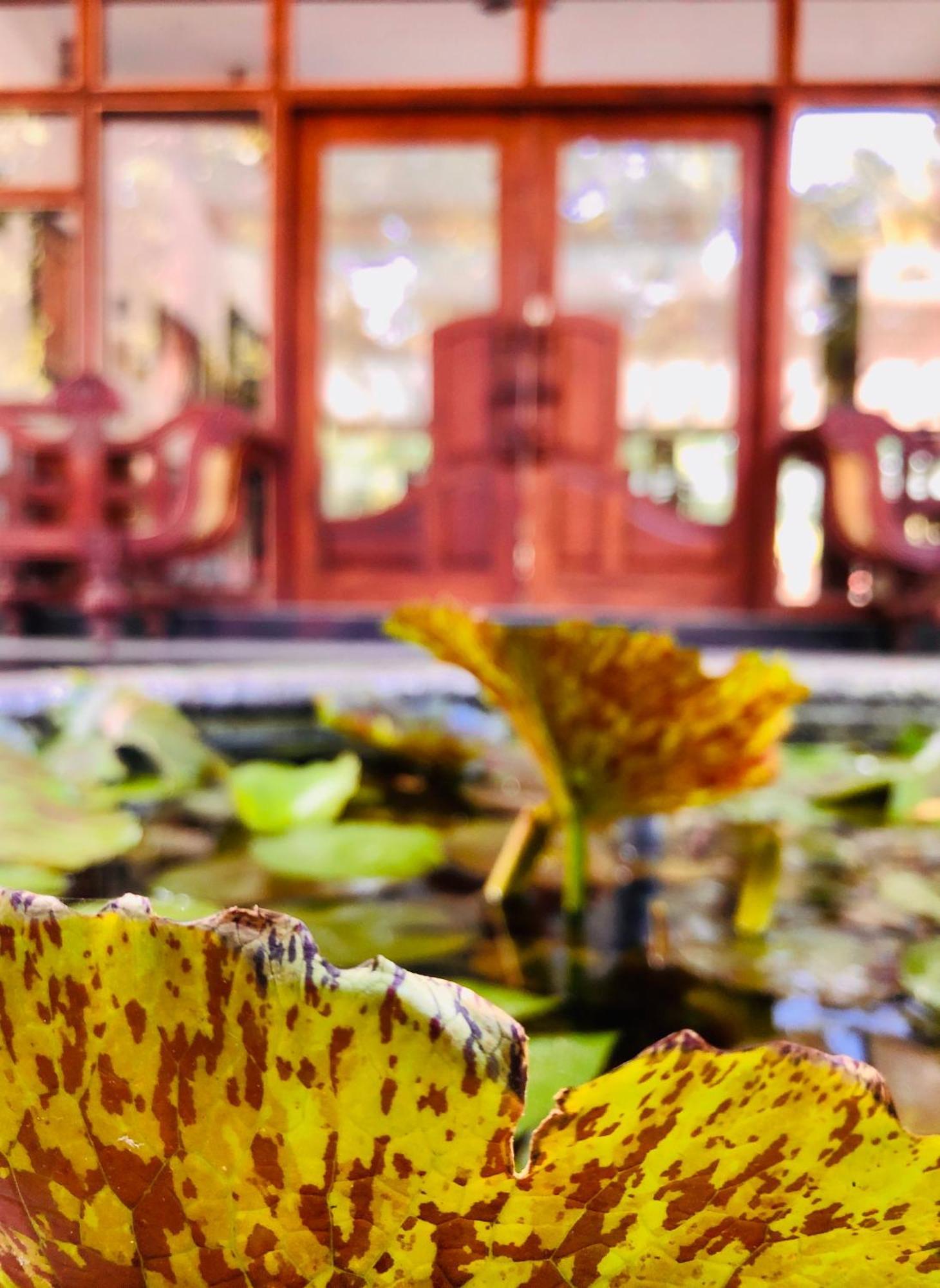 Saman Resort Yala تيساماهاراما المظهر الخارجي الصورة