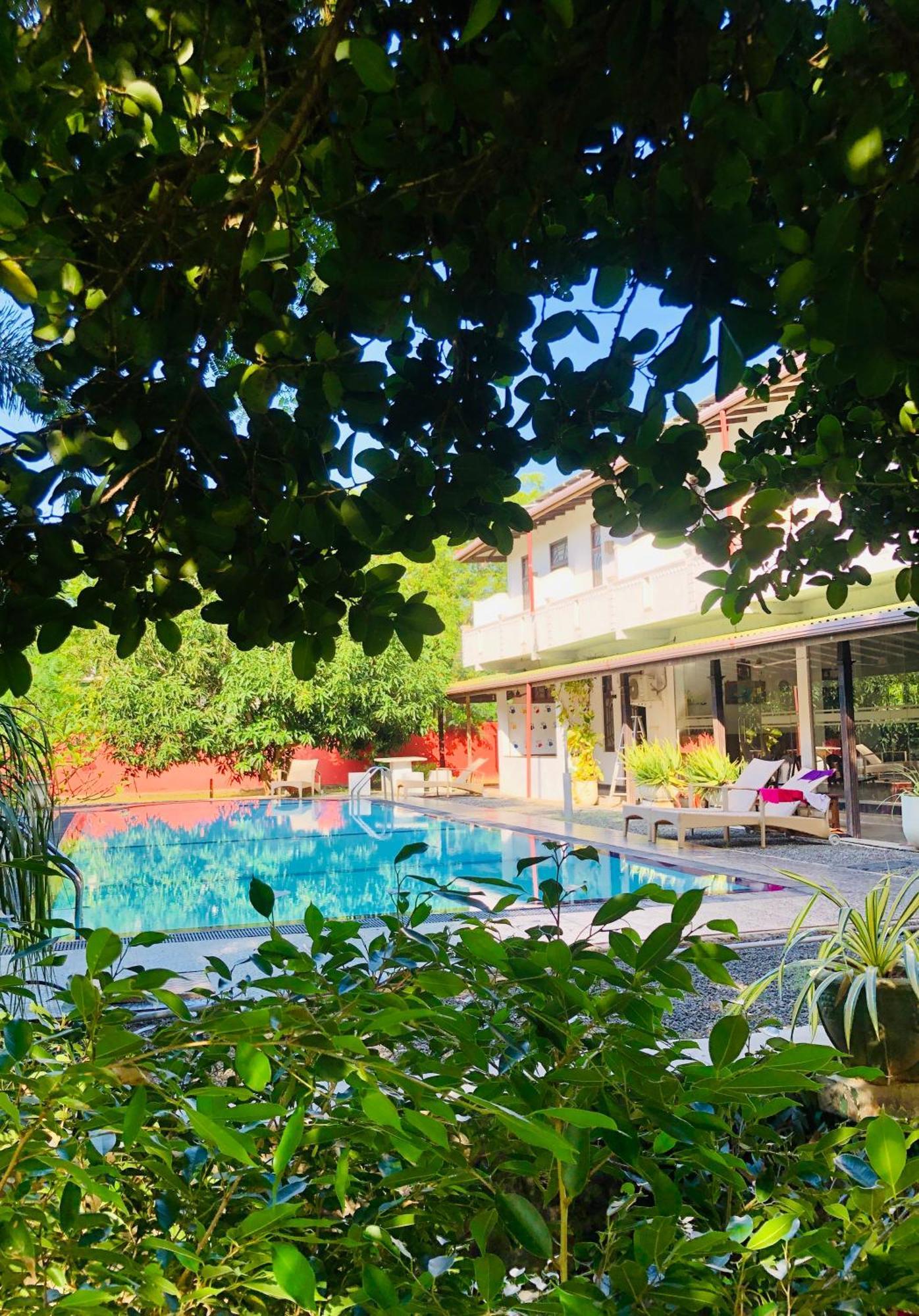 Saman Resort Yala تيساماهاراما المظهر الخارجي الصورة