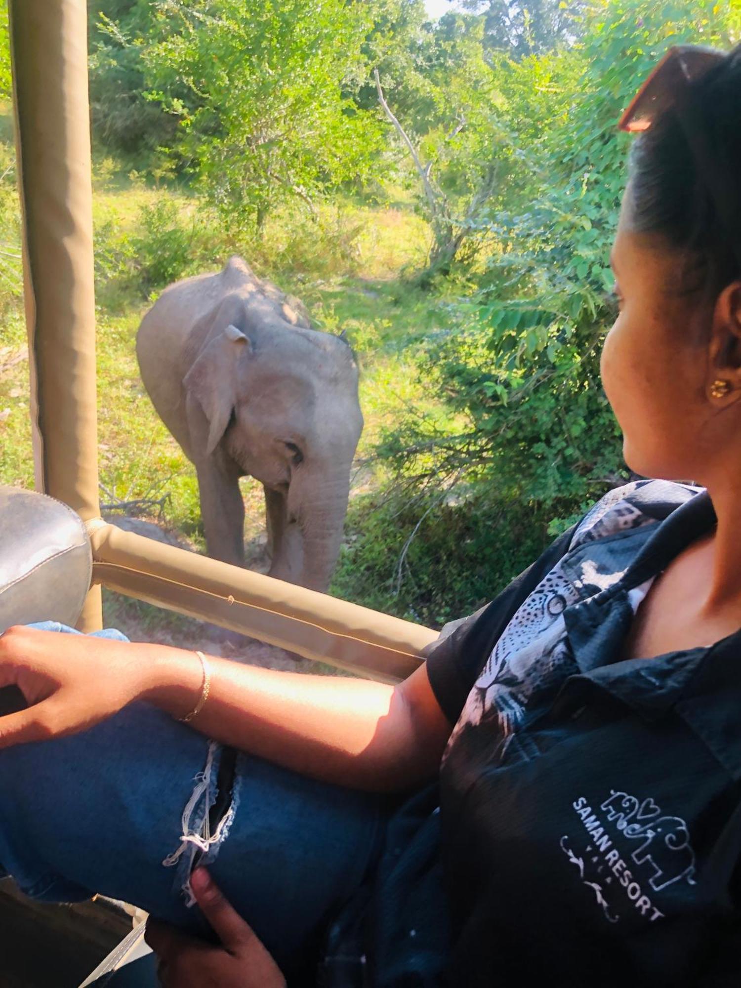 Saman Resort Yala تيساماهاراما المظهر الخارجي الصورة