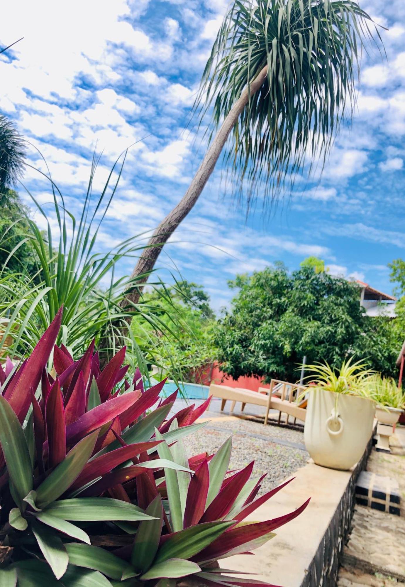 Saman Resort Yala تيساماهاراما المظهر الخارجي الصورة